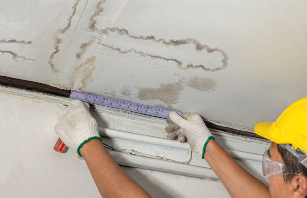 Reliable Water Damage contractor in Wellington, UT by Water Damage Irwin